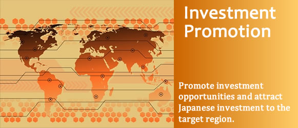 Investment Promotion in Japan | Fenetre Partners | Market Entry into Japan